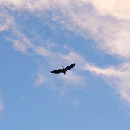 Heron'S Path I Análipsis 外观 照片
